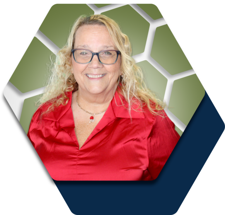michele salisbury hexagons